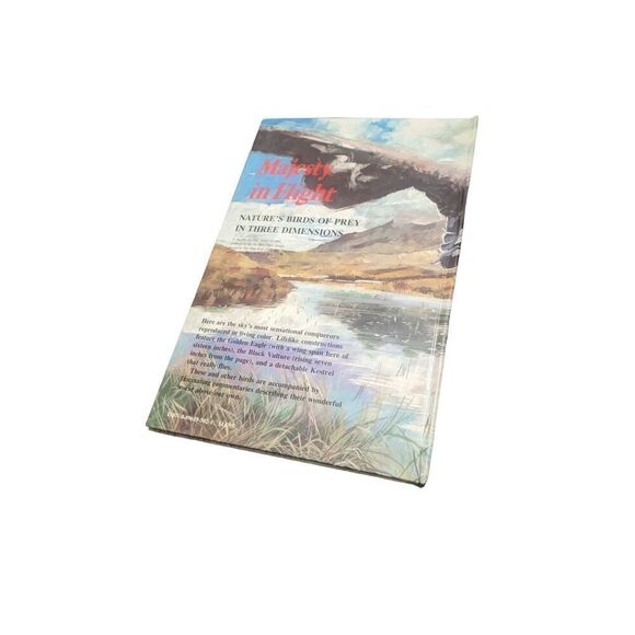 Majesty in Flight Ron Van der Meer Pop Up Book Paper Engineering Birds of‎ Prey - Picture 2 of 5